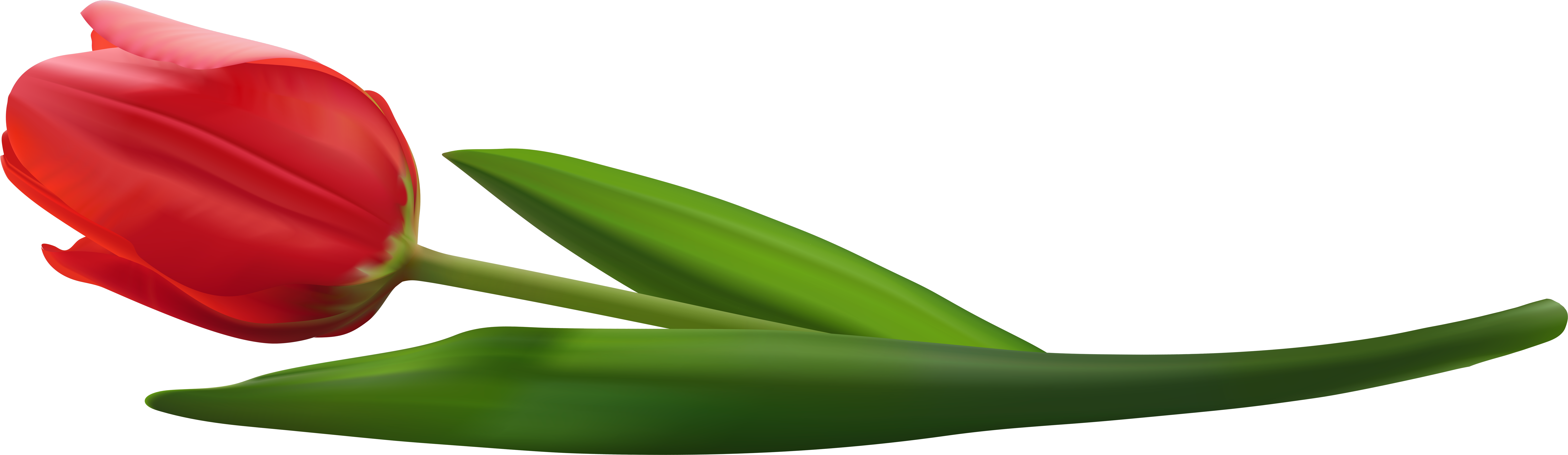 Portable Network Graphics (8000x2373), Png Download