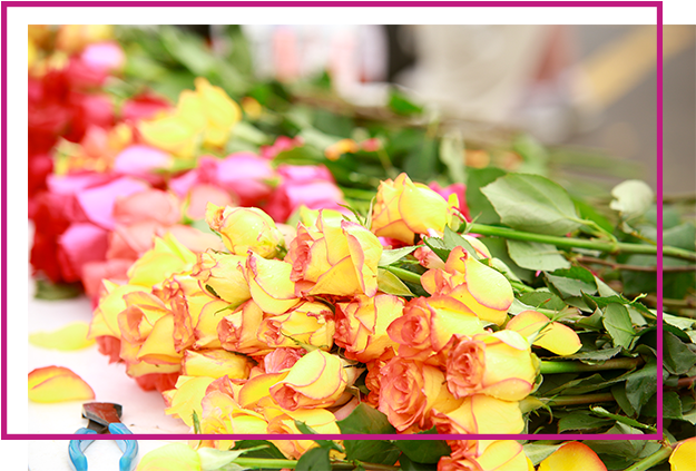 A Rose For Every Finisher - Bud (690x460), Png Download