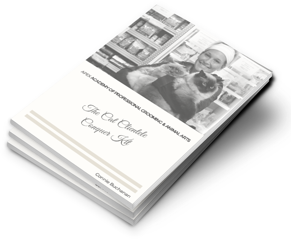 Stack Clientele Kit - Sketch Pad (1000x880), Png Download
