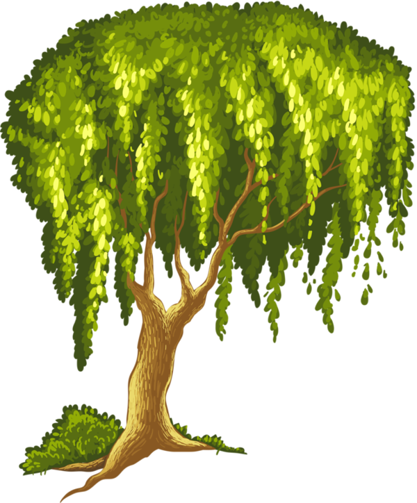 Arbre,png Book Drawing, Adam And Eve, Flower Clips, - Standing Near A Tree (600x724), Png Download