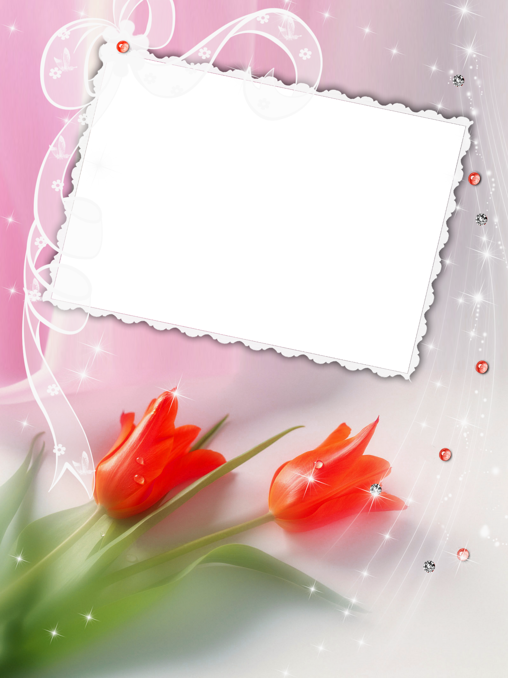 Beautiful Transparent Frame With Red Tulips View Full (1772x2362), Png Download