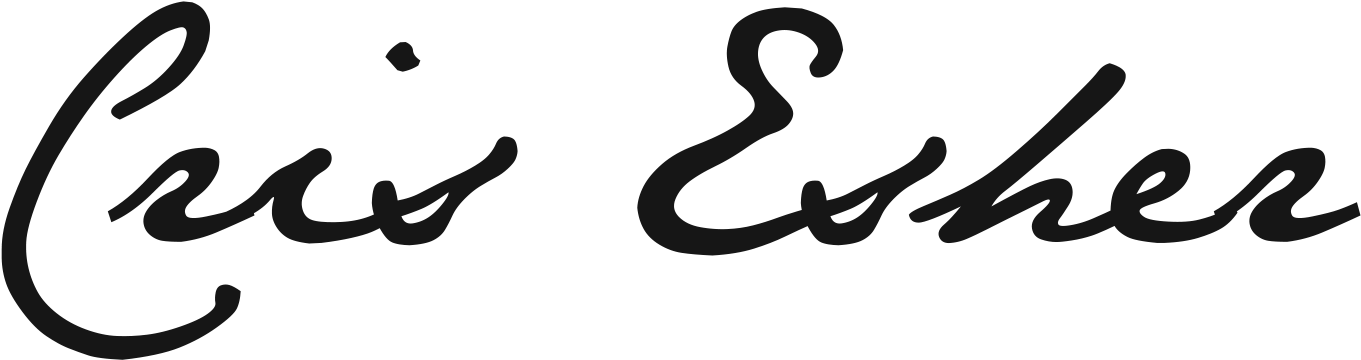 Libreta La Sirenita / Notebook The Little Mermaid • - Cruz 2016-jan Gray 400 Rectangle Car Magnet (1703x640), Png Download