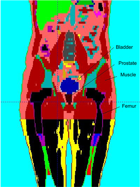Visualization Of The Different Structures Present In (903x632), Png Download