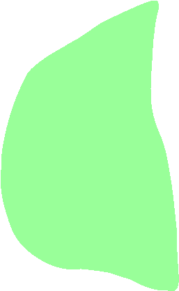 Posterior Patella Facet For Medial Condyle Of Femur - Illustration (626x606), Png Download