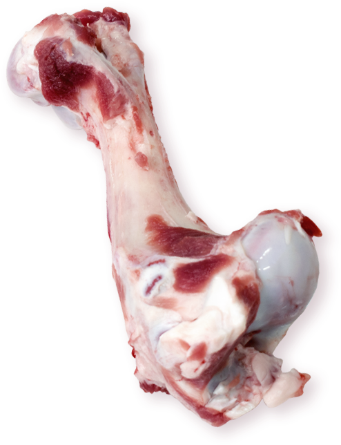 Femur Bone - Lamb And Mutton (800x800), Png Download