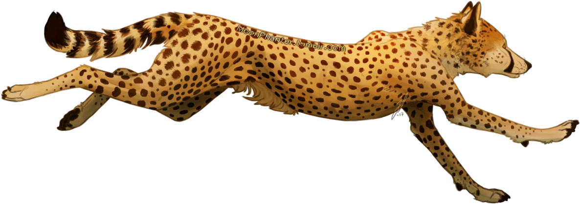 Stäppvarg Rasbild - Wiki (1203x439), Png Download