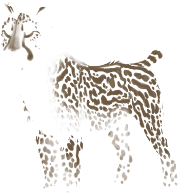 Tiger (640x500), Png Download