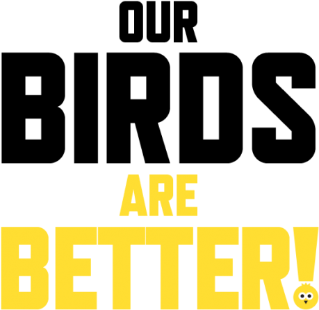 Our Birds Are Better - Orange (580x533), Png Download