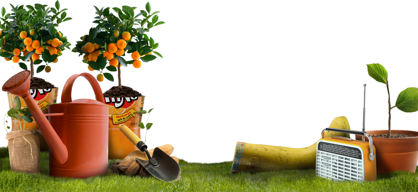 ¿cómo Cultivar Frutas Y Hortalizas En Macetas - Retrospect Group Orange Tree Window Sticker (1600x735), Png Download