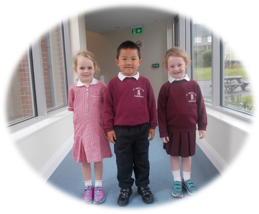 Girl's Uniform - St Mary's Primary School (900x743), Png Download