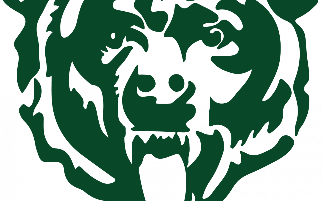 Certificates Of Appreciation Awarded To Employees At - Carleton Place High School Bears (1080x675), Png Download