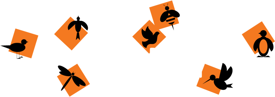 Montessori Day School Of Brooklyn (1000x647), Png Download