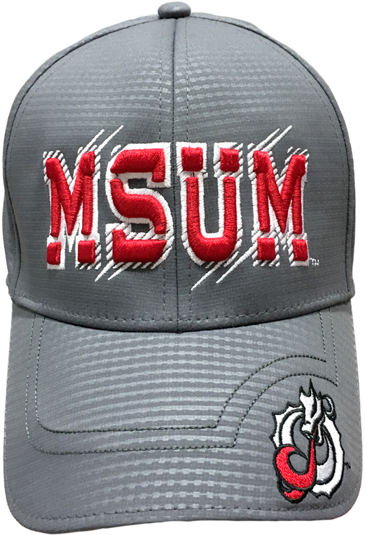 Download Product Description Baseball Cap PNG Image with No