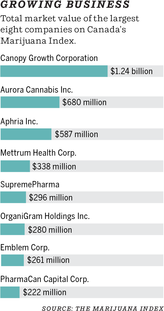 Cannabis Index Graphic - Cannabis Sector Market Cap (550x1048), Png Download