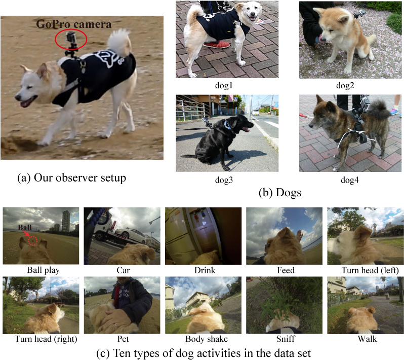 'petting', 'shaking Dog's Body By Himself', 'sniffing', - Animal Dataset (942x749), Png Download