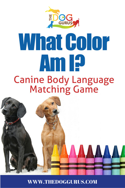 Canine Body Language Made Easy To Learn As A Fun Game - False Rechargeable Waterproof Lcd 100lv Level Shock (840x840), Png Download