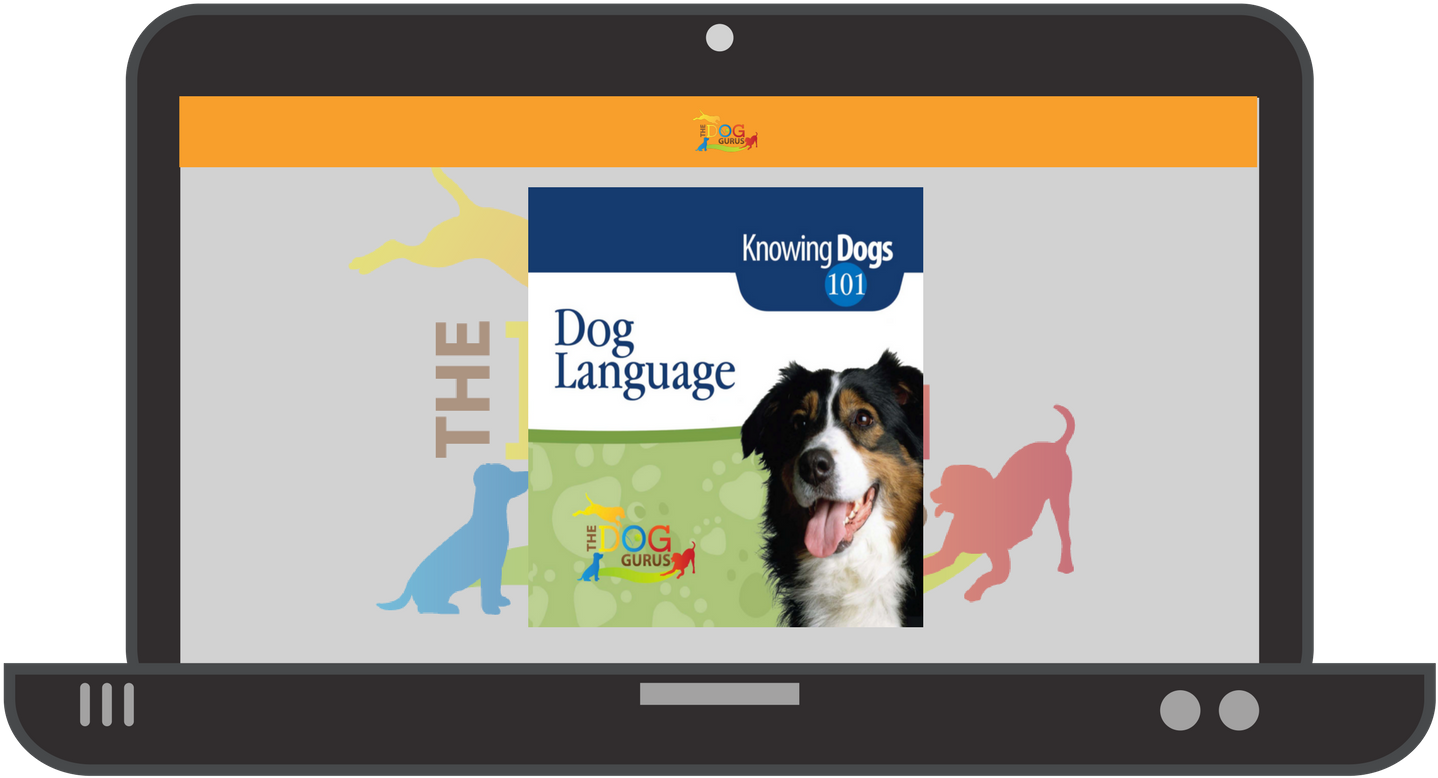 Knowing Dogs 101 Is Recommended For All Staff Members - Herding Dogs (1800x1200), Png Download