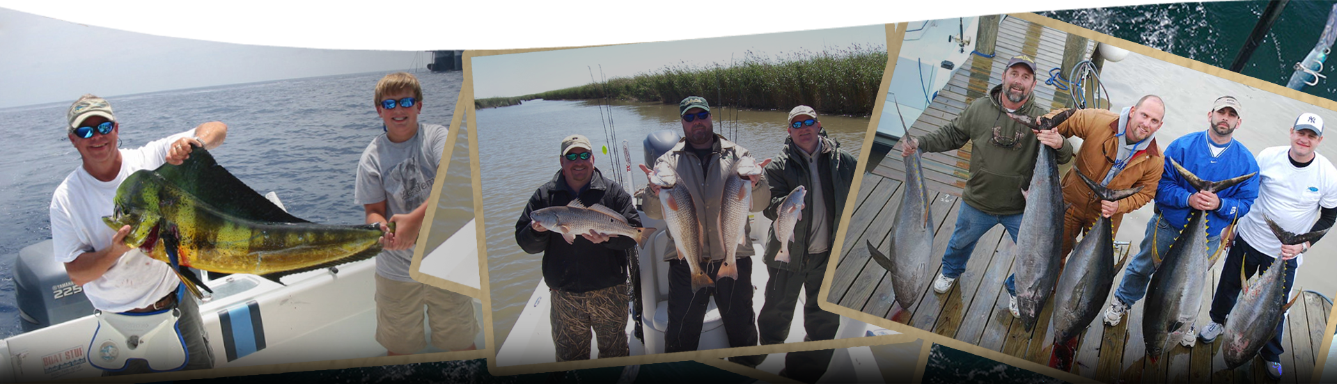 Voodoo Fishing Charters Deep Sea Offshore Tuna Fishing - Dolphin Fishing (1920x552), Png Download