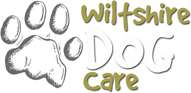 Image - Vintage Base Ball (784x396), Png Download