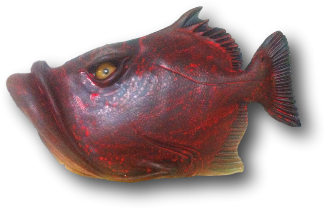 Fish With Attitude - Deep Sea Fish (1114x1114), Png Download