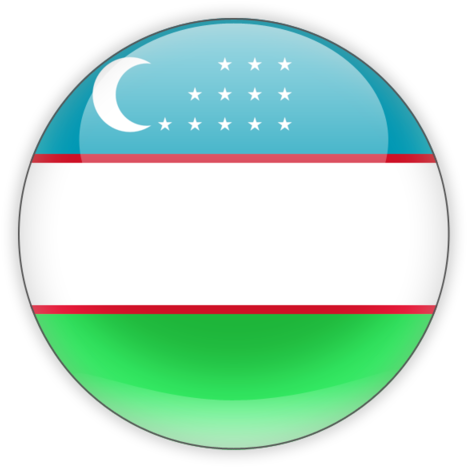 Uzbekistan - Uzbekistan Flag Icon Png (640x480), Png Download