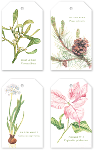Christmas Botanical Unpersonalized Multi Gift Tags - Christmas Day (600x600), Png Download