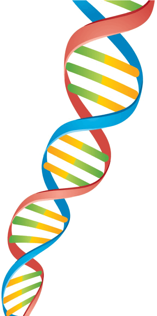 Sometimes Viral Can Be Good - Peoria (681x1024), Png Download