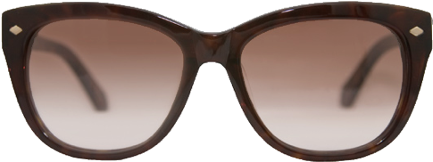 Women Sunglass Png Clipart - Womens Sunglasses Png Transparent (491x340), Png Download