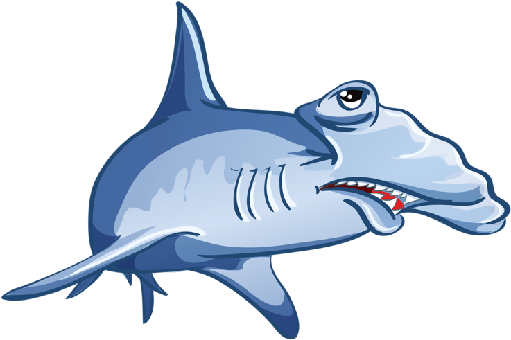 Shark Jaws Drawing - Shark (800x529), Png Download