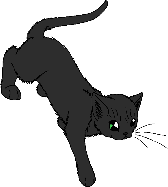 Night Of No Stars - Warrior Cats Night Of No Stars (623x701), Png Download