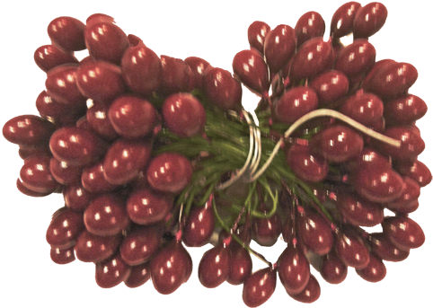 Burgundy Holly Berries 5 Gross - Seedless Fruit (490x353), Png Download