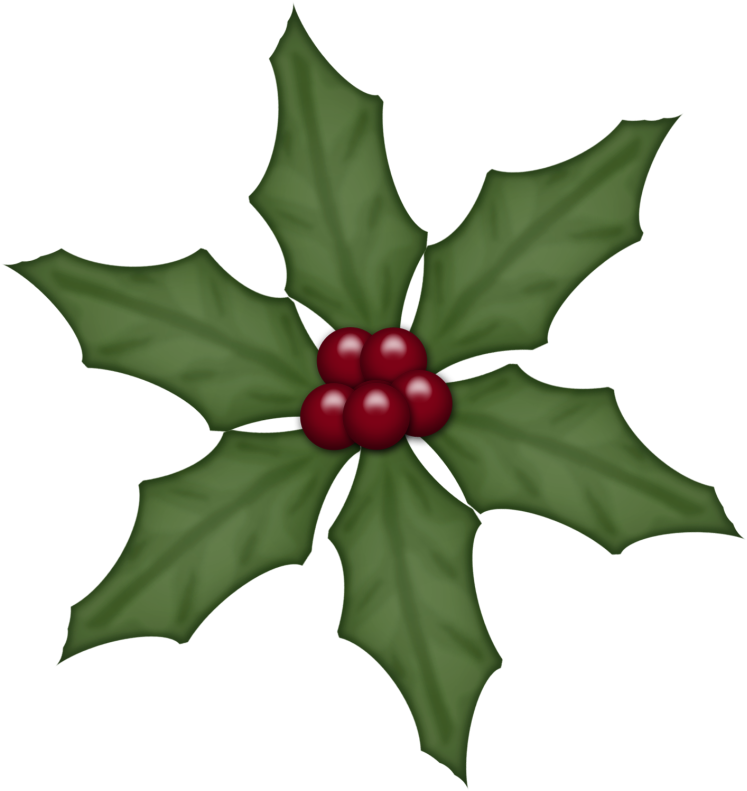 Bd Traditional Xmas Part2 Holly4 - Mandevilla (756x800), Png Download