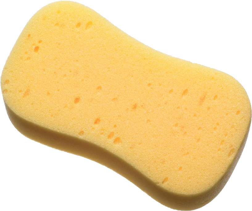 Foam Sponge (817x685), Png Download