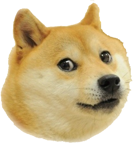 Doge Face - Doge Png (500x500), Png Download