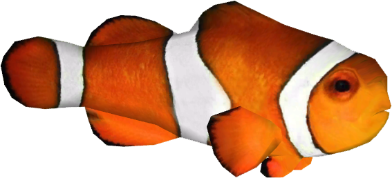Clownfish Zerosvalmont - Clown Fish Png (566x566), Png Download