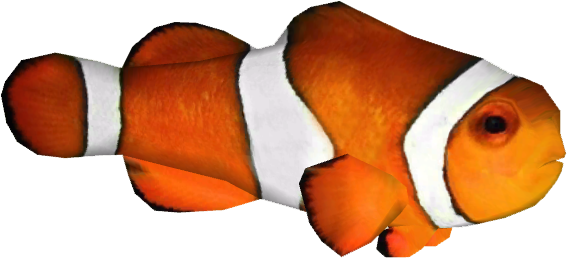 Download Clownfish Zerosvalmont Clown Fish Png Png Image With No Background Pngkey Com