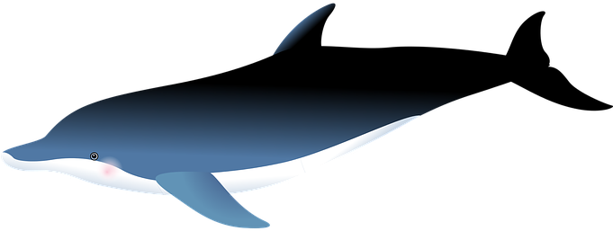 Dolphin Sea Fish Fishes Marine Life Underw - Real Life Underwater Dolphins (680x340), Png Download