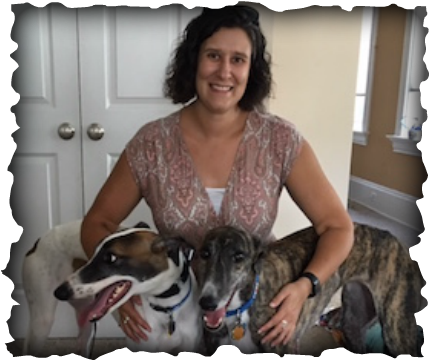 Quirky Ricochet Now Willow Was Adopted By Heather And - Colegio De San Francisco Javier Palompon Leyte (430x360), Png Download