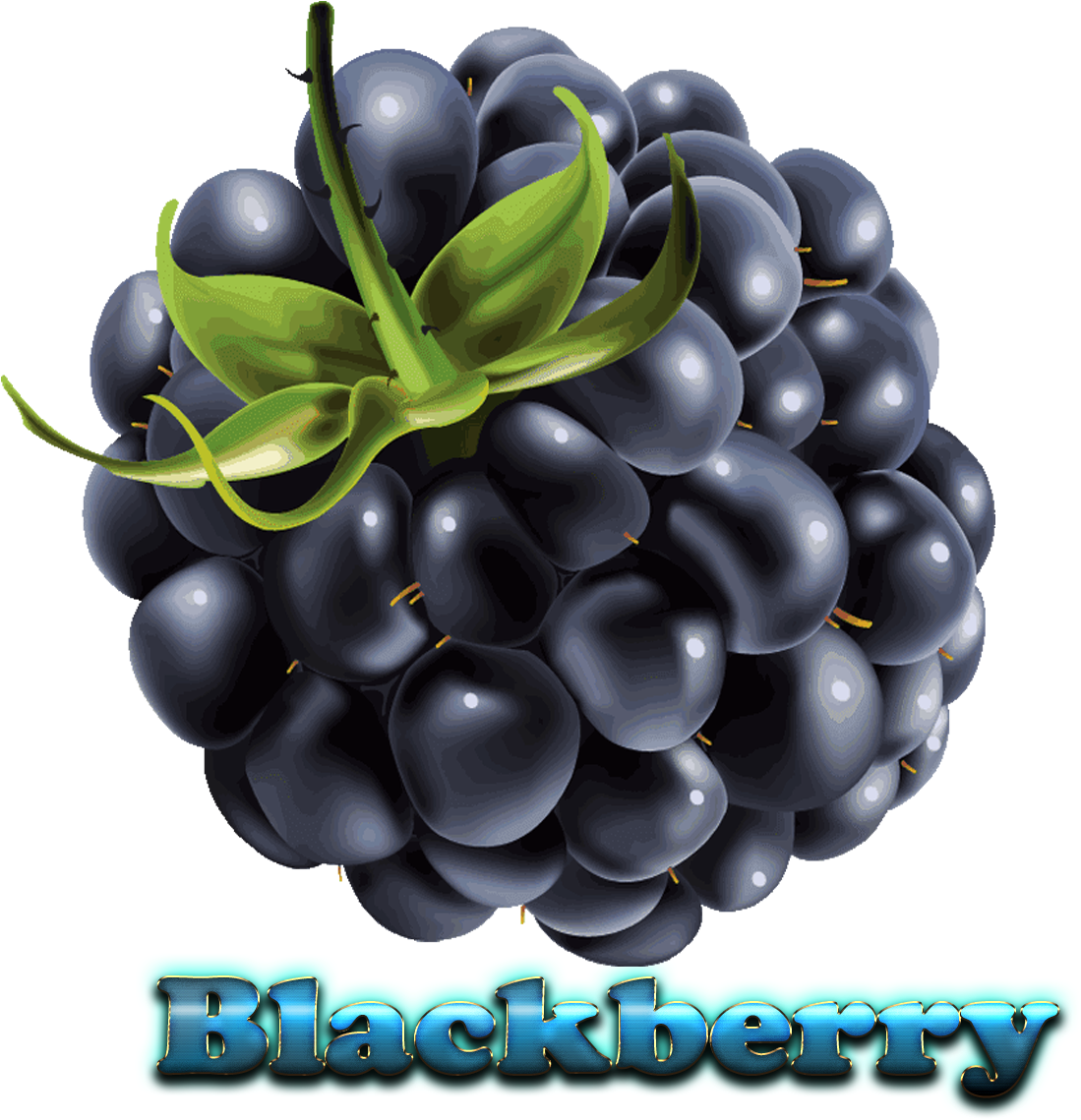 Blackberry Free Download Png (1920x1200), Png Download