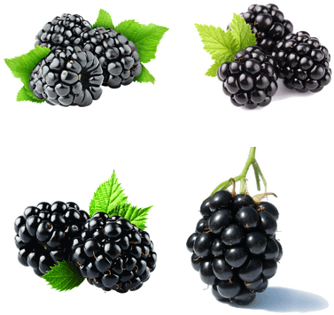 Blackberry Phone And Fruit (400x400), Png Download