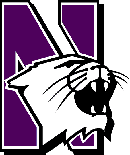 2012 - Northwestern Wildcats (453x541), Png Download