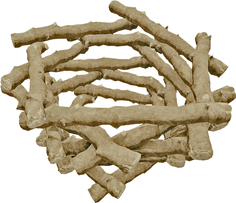 Portable Network Graphics (750x750), Png Download