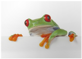 Z Zab W Ksiezniczki By John Grinder (400x400), Png Download