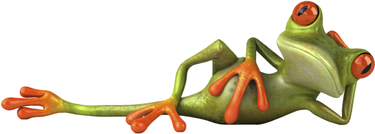 The Gallery For > Transparent Frog Tumblr Transparent - Funny Picture Full Hd (800x500), Png Download