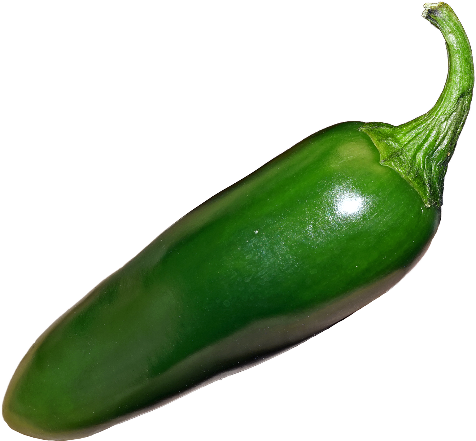 File - Jalapeño - Jalapeño Png (1545x1464), Png Download