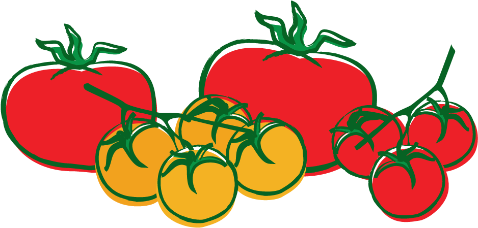 Tajin Jalapeno Pepper - Home Farmer Tomato Seed Kit (1000x500), Png Download
