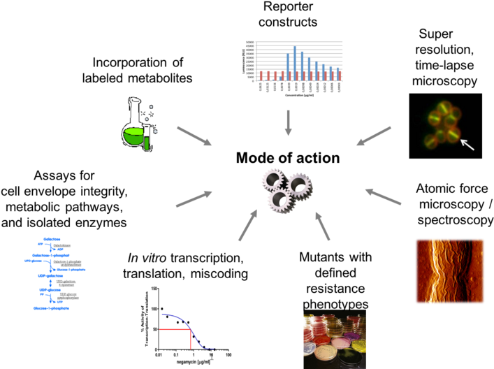 Team Brötz-oesterhelt - Three Gears (800x537), Png Download