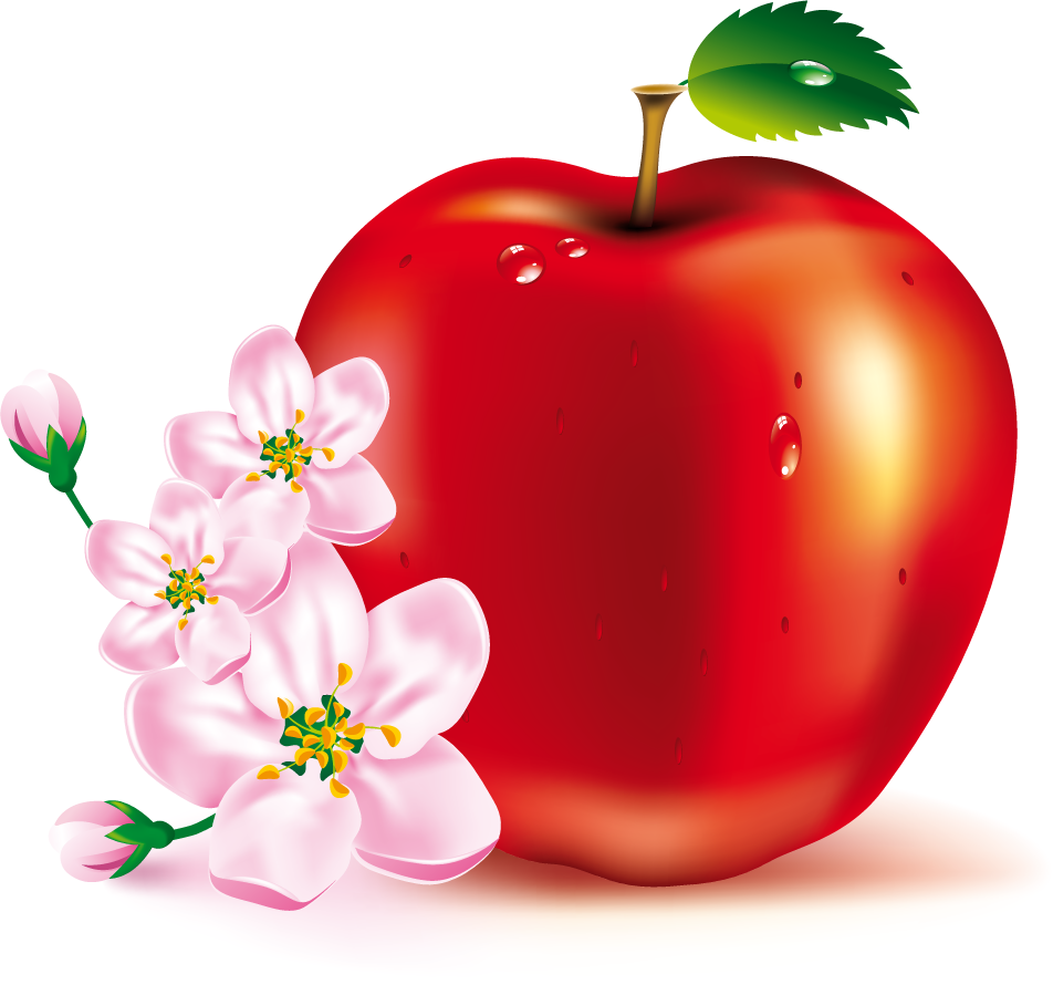 Services - Red Apple Images Download (952x890), Png Download