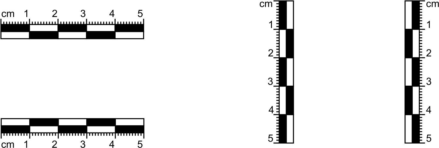 Open - Parallel (2000x2830), Png Download