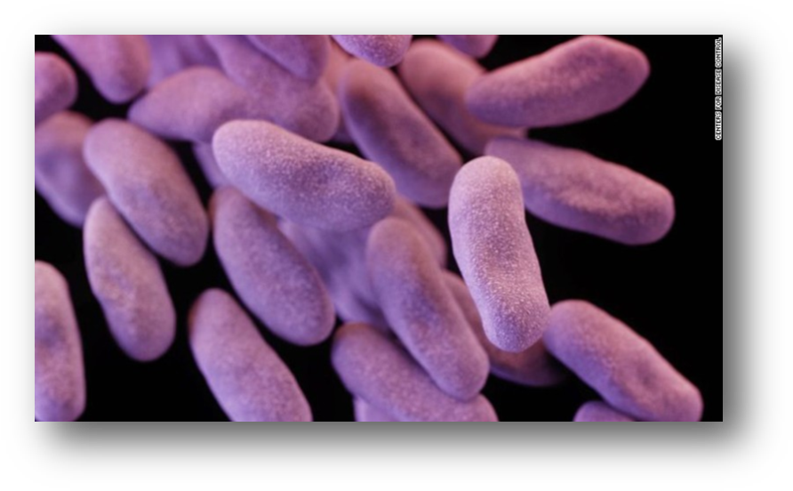 Scope Superbug Found - Carbapenem Resistant Enterobacteriaceae Cre (901x562), Png Download